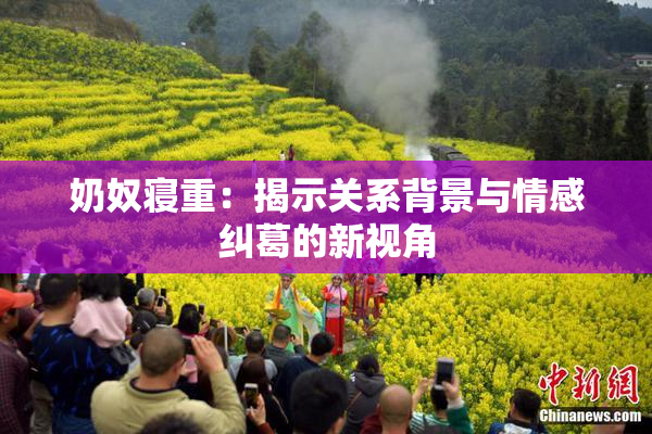 奶奴寝重：揭示关系背景与情感纠葛的新视角