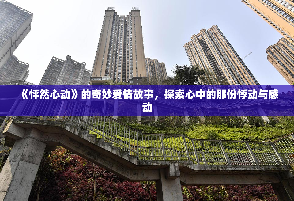 《怦然心动》的奇妙爱情故事，探索心中的那份悸动与感动