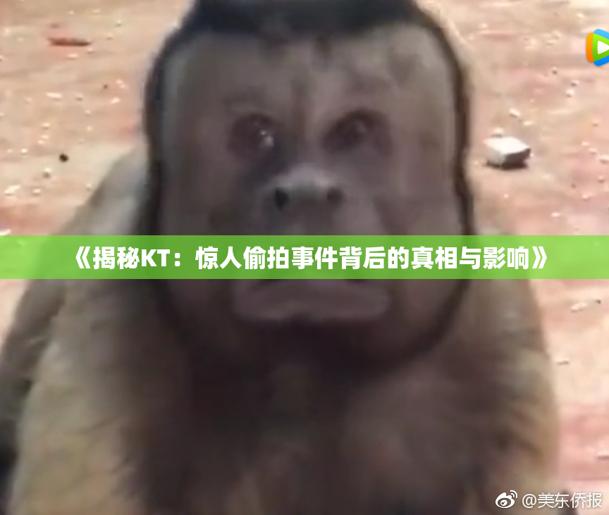 《揭秘KT：惊人偷拍事件背后的真相与影响》