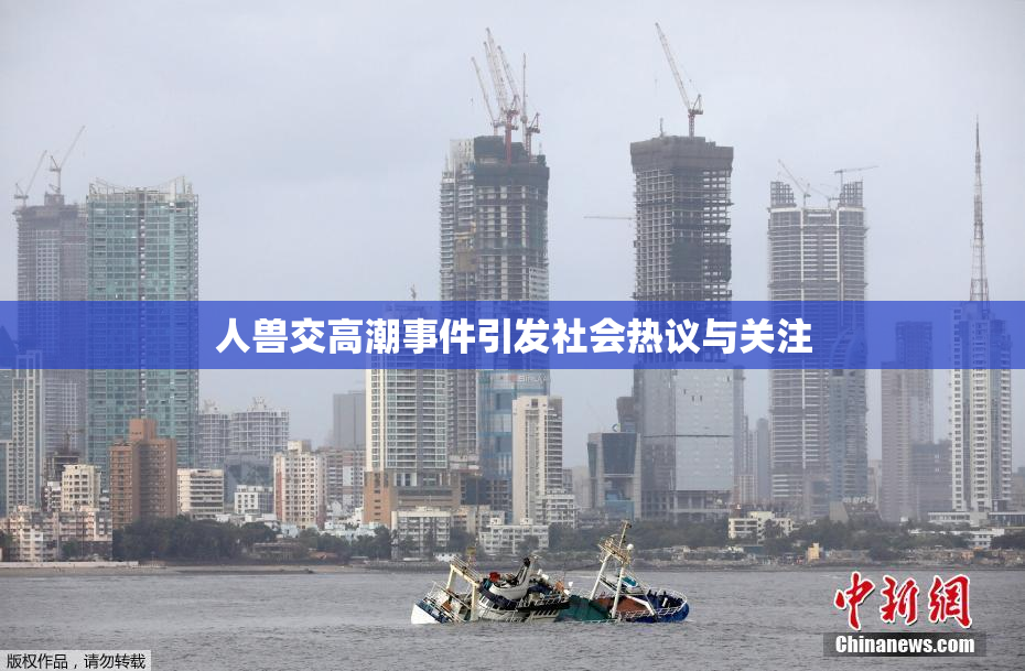 人兽交高潮事件引发社会热议与关注