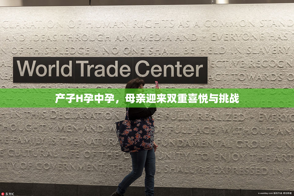 产子H孕中孕，母亲迎来双重喜悦与挑战