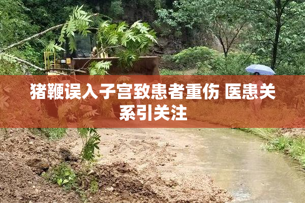 猪鞭误入子宫致患者重伤 医患关系引关注