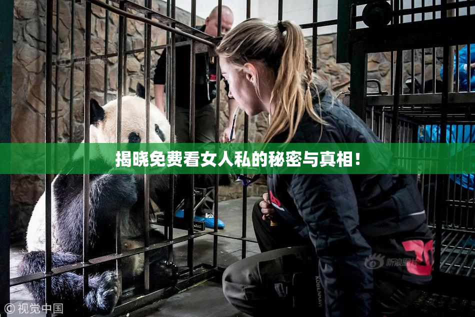 揭晓免费看女人私的秘密与真相！