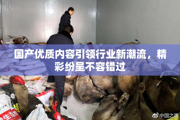 国产优质内容引领行业新潮流，精彩纷呈不容错过