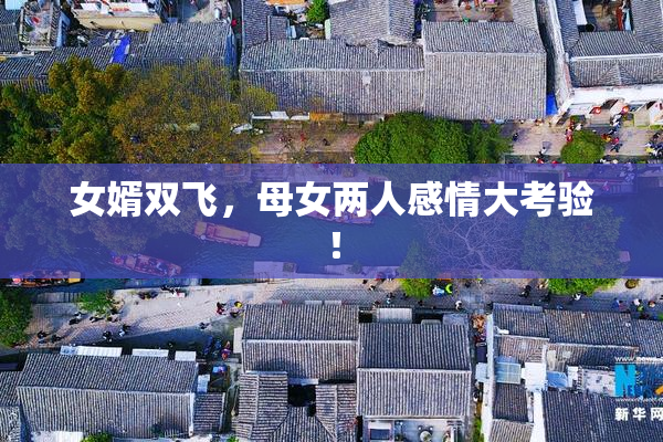 女婿双飞，母女两人感情大考验！