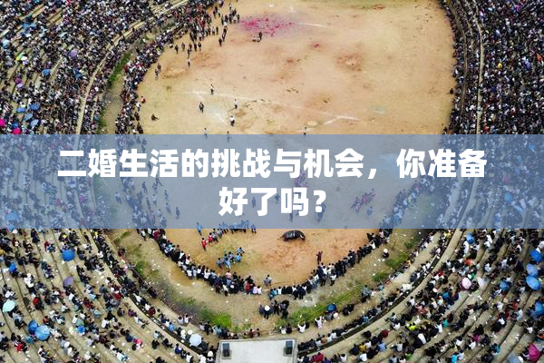 二婚生活的挑战与机会，你准备好了吗？