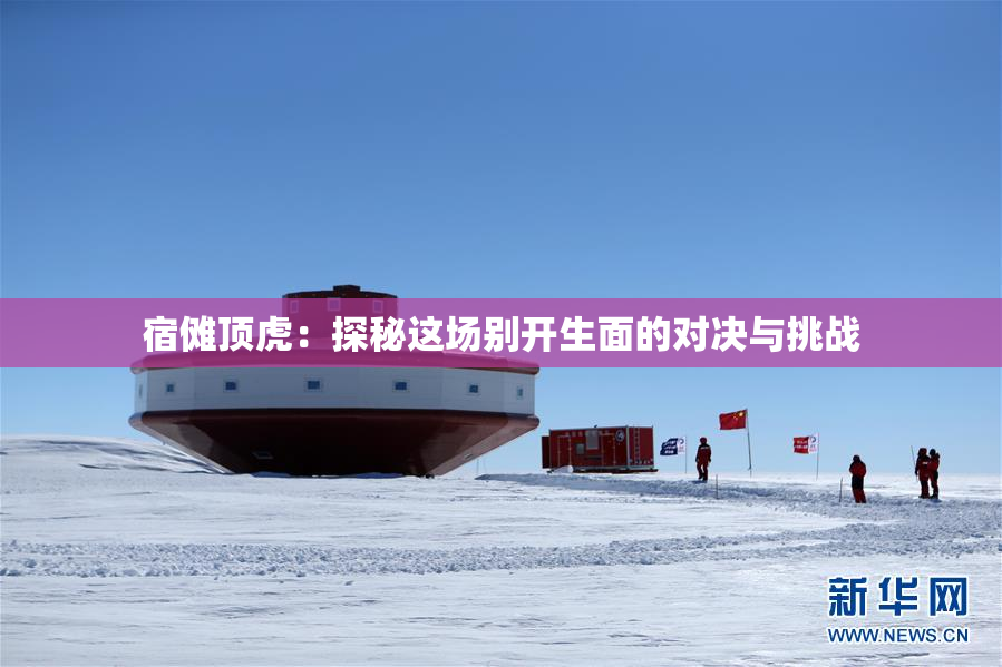 宿傩顶虎：探秘这场别开生面的对决与挑战