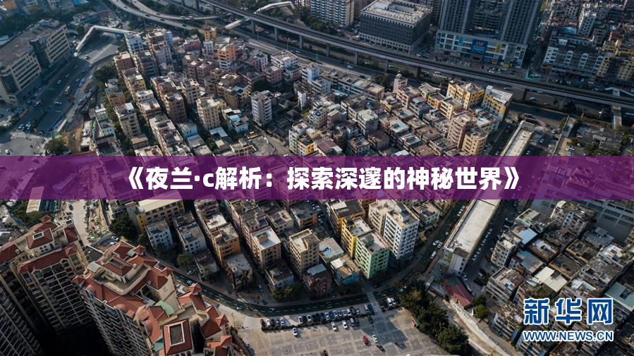 《夜兰·c解析：探索深邃的神秘世界》