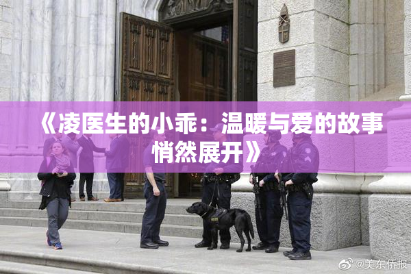 《凌医生的小乖：温暖与爱的故事悄然展开》