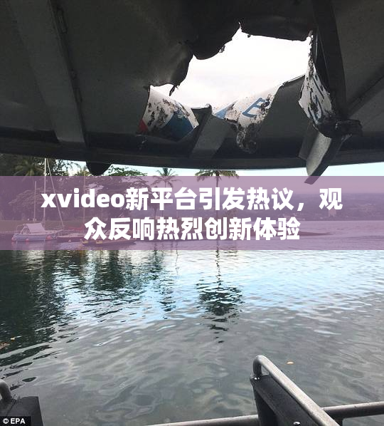 xvideo新平台引发热议，观众反响热烈创新体验