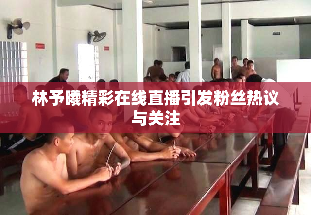 林予曦精彩在线直播引发粉丝热议与关注