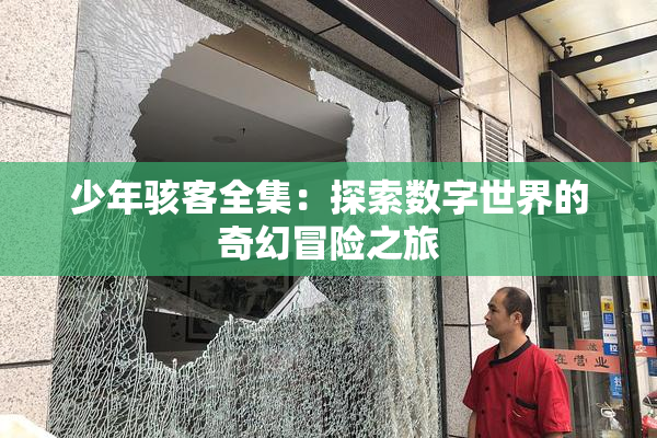 少年骇客全集：探索数字世界的奇幻冒险之旅