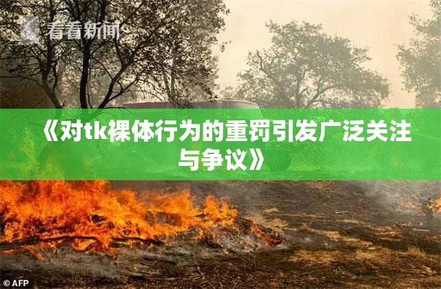 《对tk裸体行为的重罚引发广泛关注与争议》