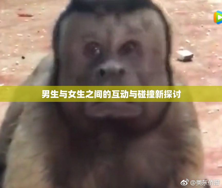 男生与女生之间的互动与碰撞新探讨