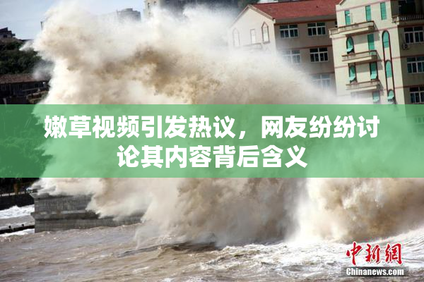 嫩草视频引发热议，网友纷纷讨论其内容背后含义