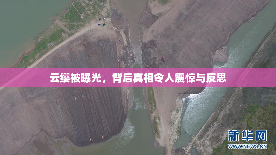 云缨被曝光，背后真相令人震惊与反思