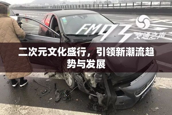 二次元文化盛行，引领新潮流趋势与发展