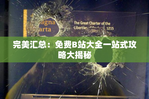 完美汇总：免费B站大全一站式攻略大揭秘