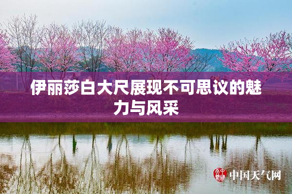 伊丽莎白大尺展现不可思议的魅力与风采