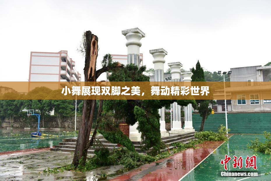小舞展现双脚之美，舞动精彩世界