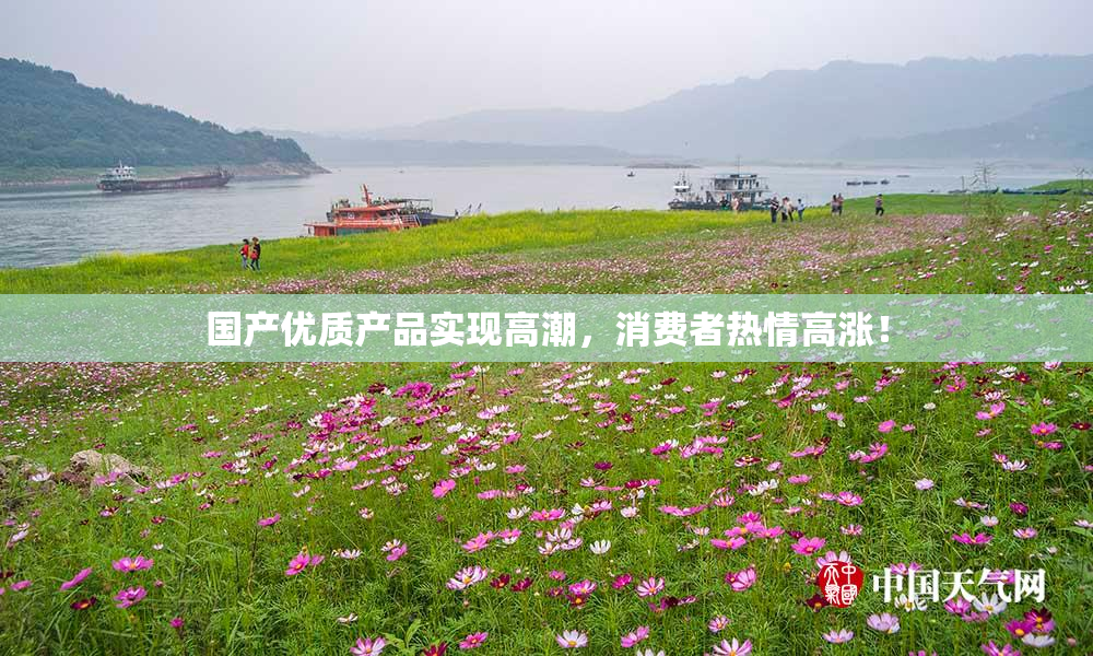 国产优质产品实现高潮，消费者热情高涨！