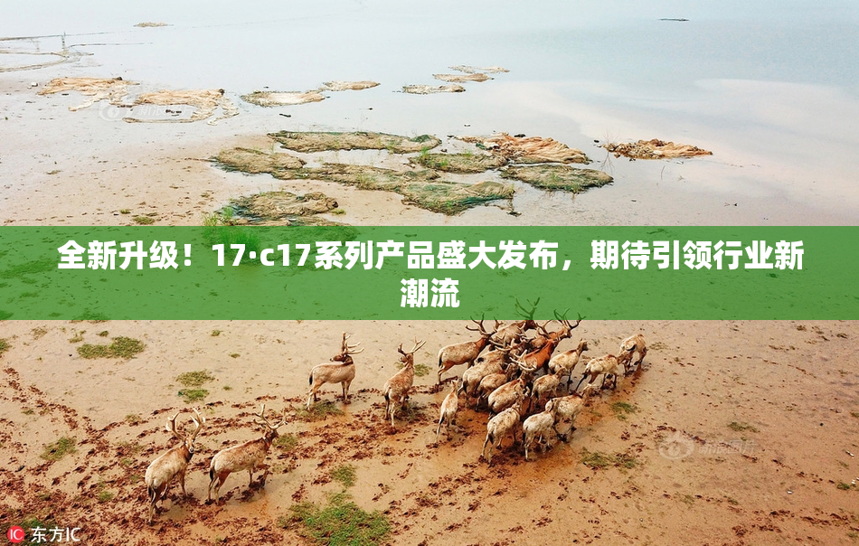 全新升级！17·c17系列产品盛大发布，期待引领行业新潮流