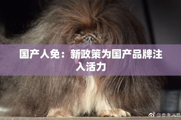 国产人免：新政策为国产品牌注入活力