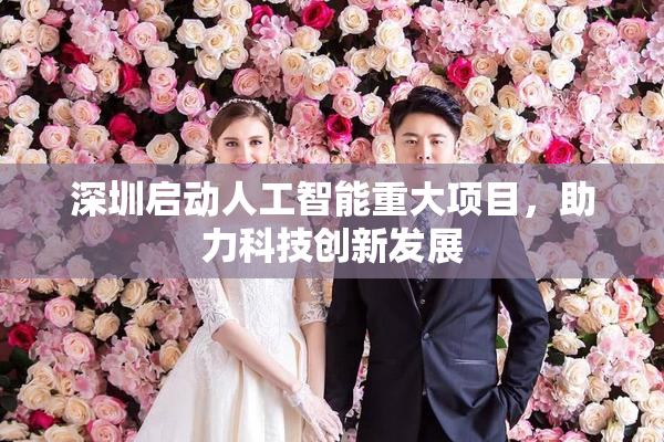深圳启动人工智能重大项目，助力科技创新发展