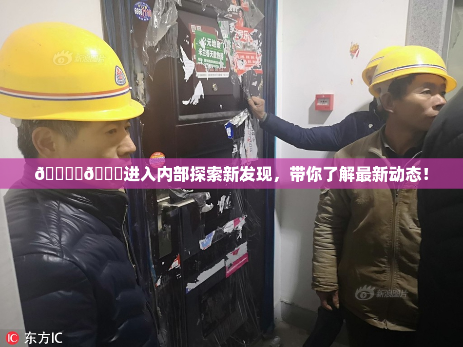 🔞‌🍌进入内部探索新发现，带你了解最新动态！