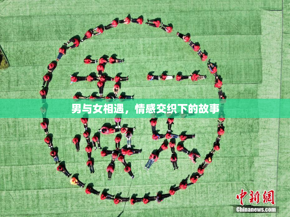 男与女相遇，情感交织下的故事