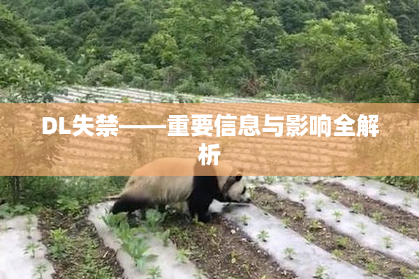 DL失禁——重要信息与影响全解析