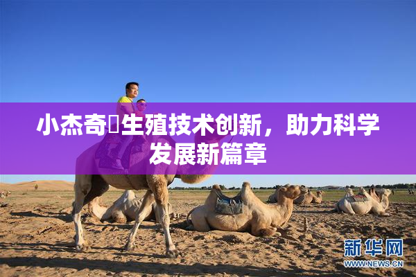 小杰奇犽生殖技术创新，助力科学发展新篇章