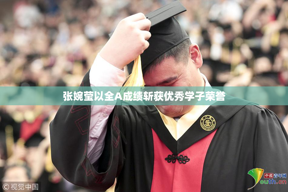 张婉莹以全A成绩斩获优秀学子荣誉