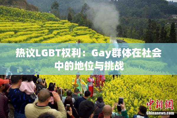 热议LGBT权利：Gay群体在社会中的地位与挑战