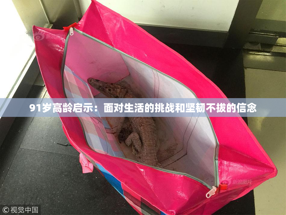 91岁高龄启示：面对生活的挑战和坚韧不拔的信念