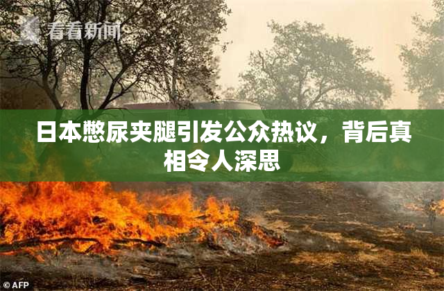 日本憋尿夹腿引发公众热议，背后真相令人深思