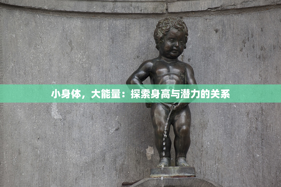 小身体，大能量：探索身高与潜力的关系