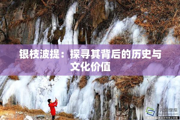 银枝波提：探寻其背后的历史与文化价值