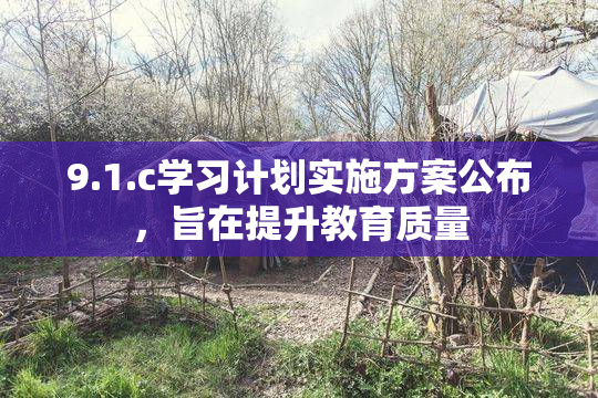 9.1.c学习计划实施方案公布，旨在提升教育质量