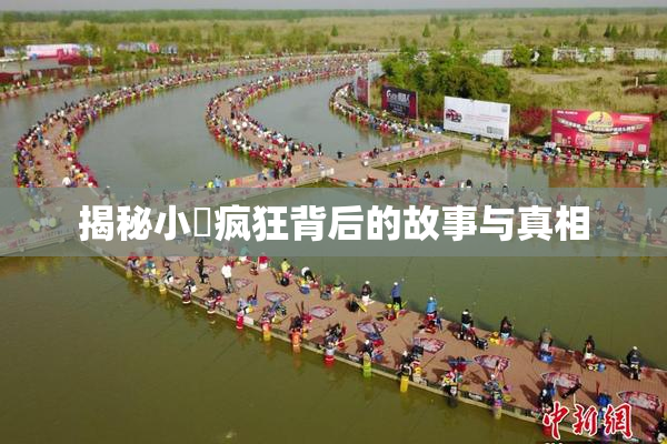 揭秘小泬疯狂背后的故事与真相