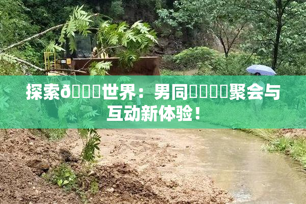 探索🔞世界：男同❌‌❌‌聚会与互动新体验！