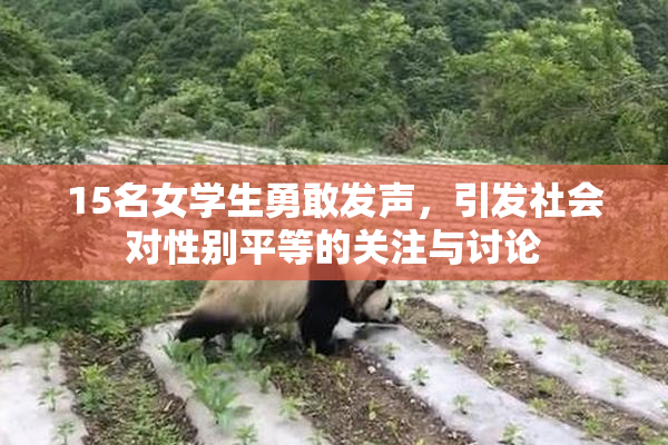 15名女学生勇敢发声，引发社会对性别平等的关注与讨论