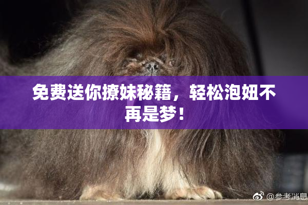 免费送你撩妹秘籍，轻松泡妞不再是梦！