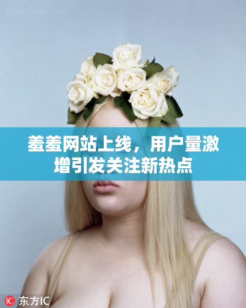 羞羞网站上线，用户量激增引发关注新热点