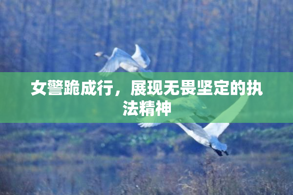 女警跪成行，展现无畏坚定的执法精神