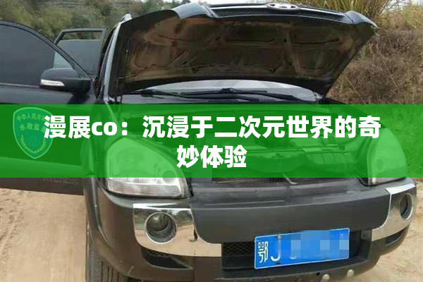 漫展co：沉浸于二次元世界的奇妙体验
