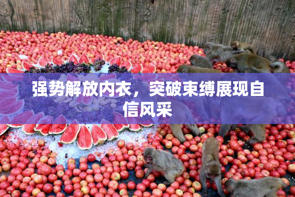 强势解放内衣，突破束缚展现自信风采