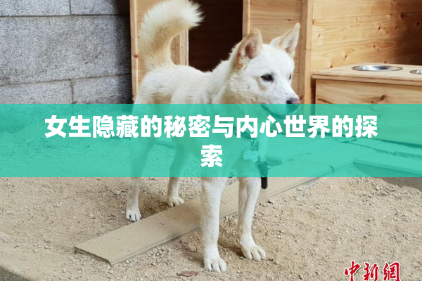 女生隐藏的秘密与内心世界的探索