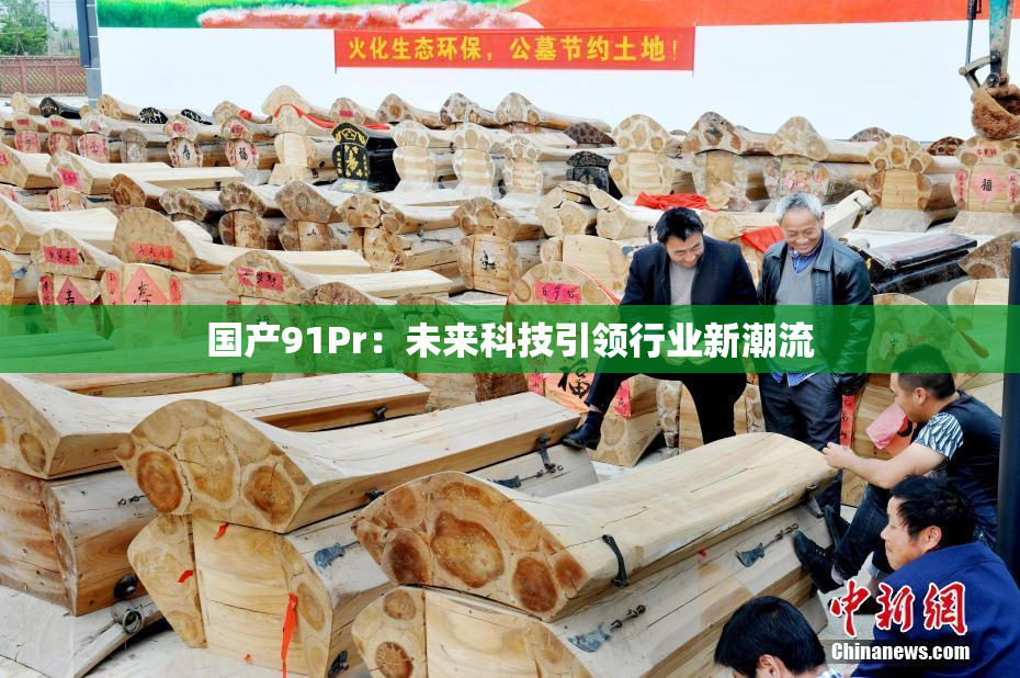 国产91Pr：未来科技引领行业新潮流