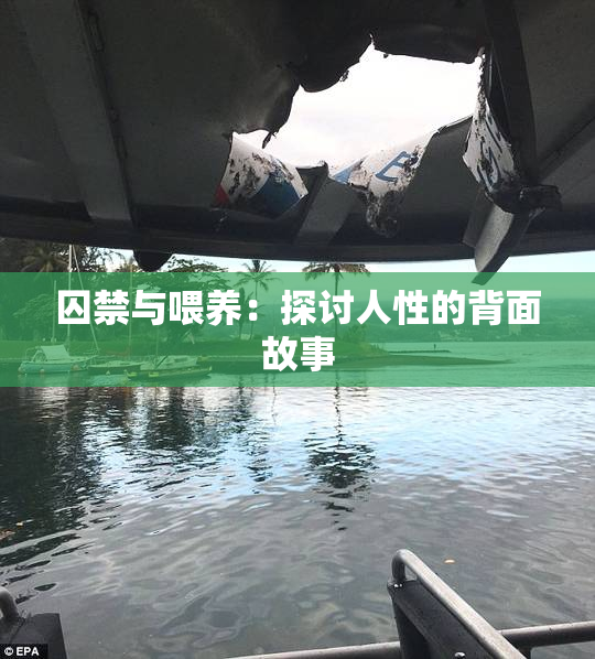 囚禁与喂养：探讨人性的背面故事